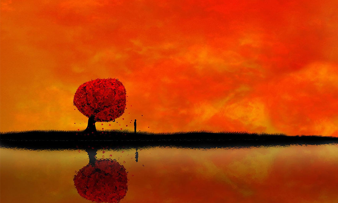 开封笙影微信朋友圈转发案例